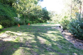 Enlarge photo 31