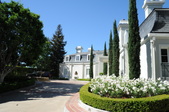 The Viceroy