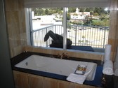 Enlarge photo 33