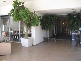 Enlarge photo 39