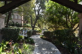 Enlarge photo 55