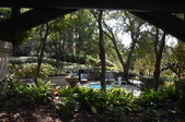 Enlarge photo 59