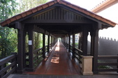Enlarge photo 62