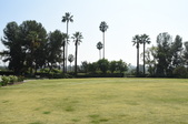 Enlarge photo 93