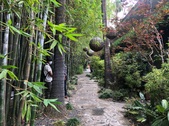 Enlarge photo 45