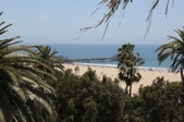 Enlarge photo 44
