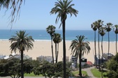 Enlarge photo 46