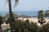 Enlarge photo 51