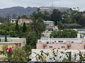 Enlarge photo 49