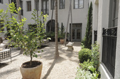 Enlarge photo 46