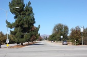 Enlarge photo 52