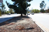 Enlarge photo 49