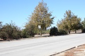 Enlarge photo 47