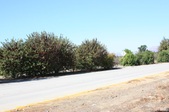Enlarge photo 44