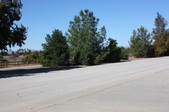 Enlarge photo 37