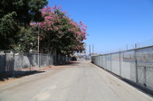 Enlarge photo 39
