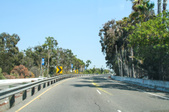 Loynes (Long Beach)