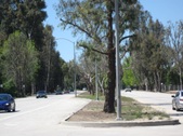 Enlarge photo 40
