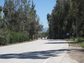 Enlarge photo 44
