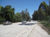 Enlarge photo 45