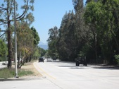 Enlarge photo 48