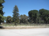 Enlarge photo 49