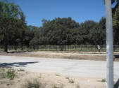 Enlarge photo 50