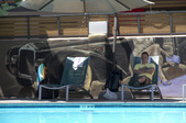 Enlarge photo 73