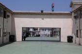 Enlarge photo 54