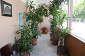 Enlarge photo 62