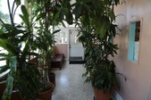 Enlarge photo 66