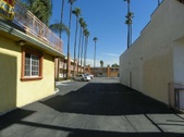Palm Tree Inn
