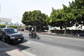 Enlarge photo 53