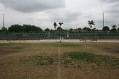 Enlarge photo 79