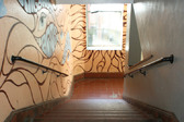 Enlarge photo 61