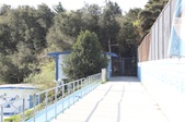 Enlarge photo 59
