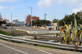 Enlarge photo 35