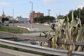 Enlarge photo 37