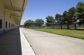 Enlarge photo 50
