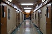 Enlarge photo 52