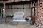 Enlarge photo 79