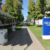 Enlarge photo 51