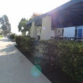 Enlarge photo 59