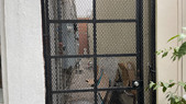 Enlarge photo 29