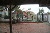 Enlarge photo 29