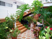 Enlarge photo 21