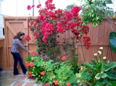 Enlarge photo 59