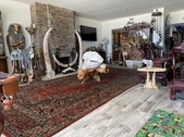 Enlarge photo 50