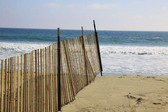 Enlarge photo 39