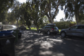 Enlarge photo 54